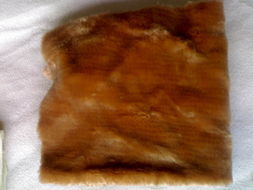 拥抱自然，守护童年 供应环保大豆纤维毛绒玩具布