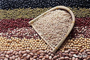 辟谣与新知 虾与维C同食的真相与大豆纤维的健康价值