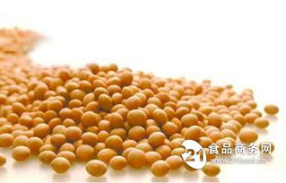 大豆膳食纤维提取工艺研究 技术与应用前景